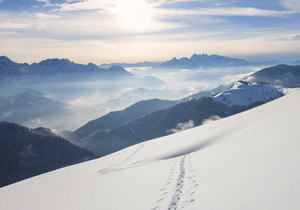 VPS 魔改 BBR  一键脚本